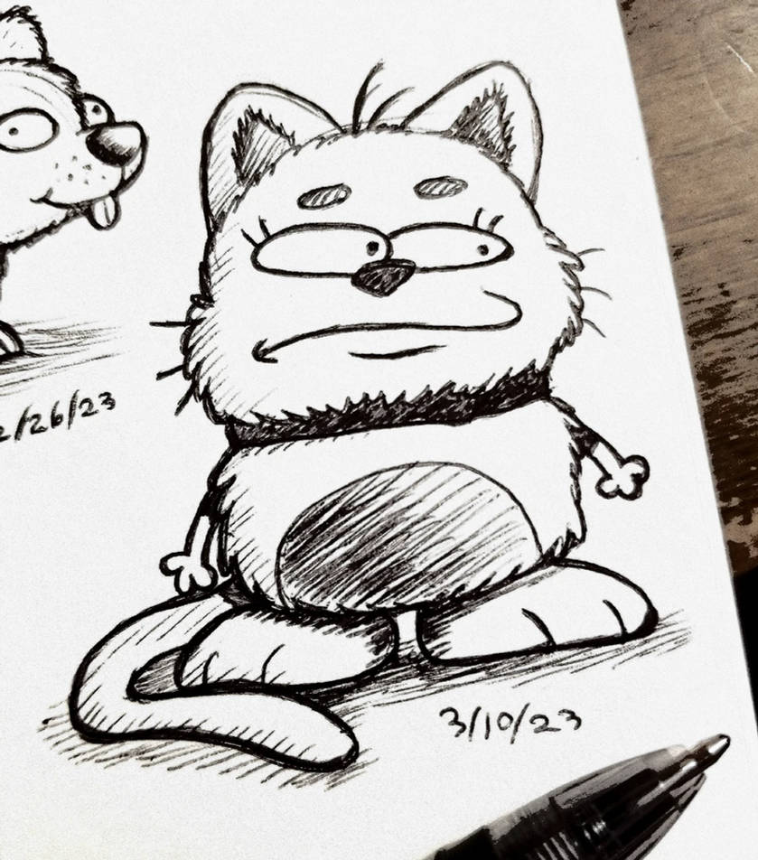 Concerned Math Cat A Concerned Cat by LexiToons on DeviantArt