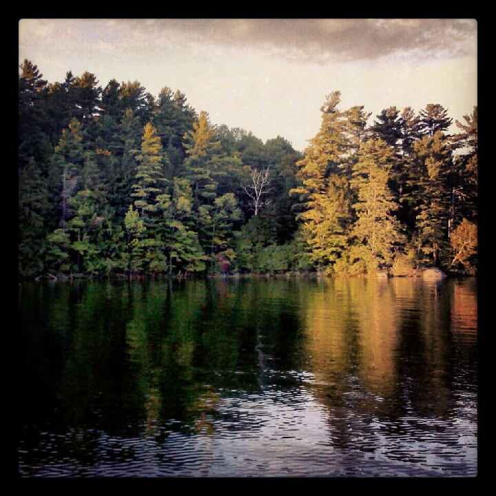 Late August Fall Late Summer/Early Fall Foliage by unwantedimagery on DeviantArt
