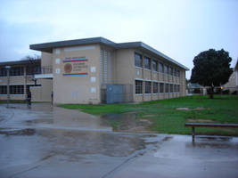 Flooded Building 4