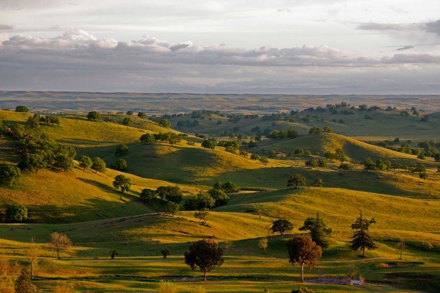 Evening Hills