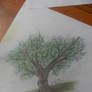 Tree :D