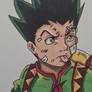 Gon Freecss