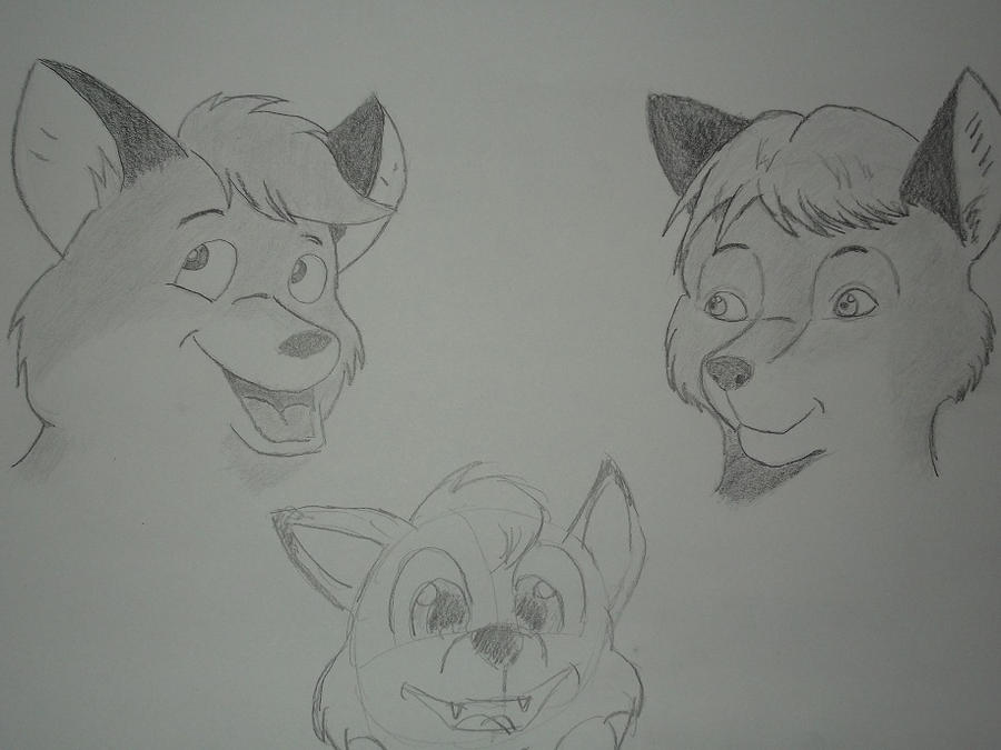 Vuk in 3 ways by CptDaniel on DeviantArt
