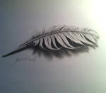 3D feather with video of process by gavinodonnell