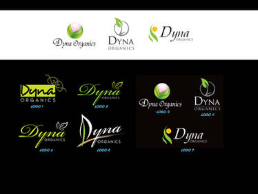 Dyna Logo Studies