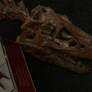 Stanley the Albertosaurus skull
