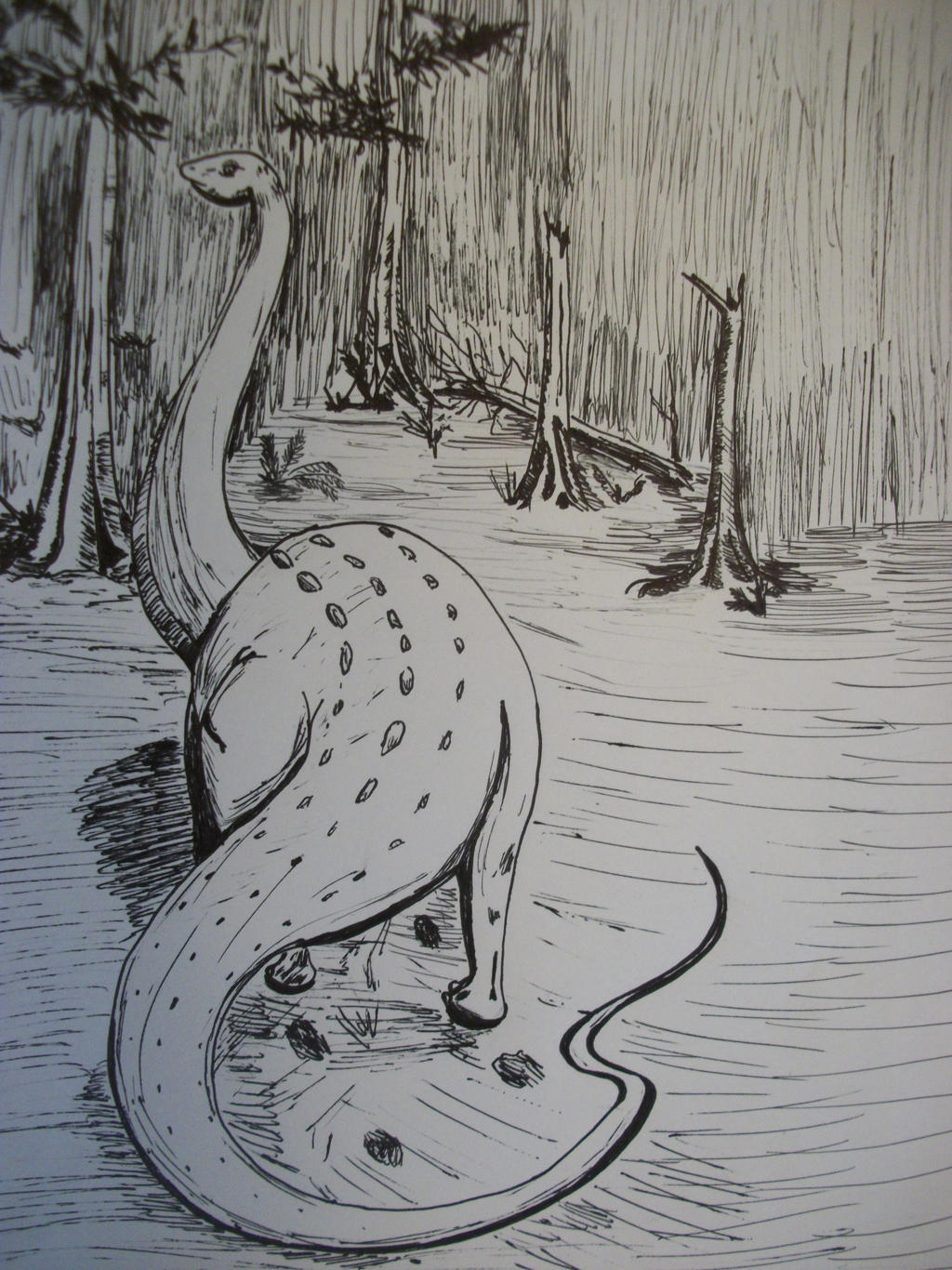 Sauropod