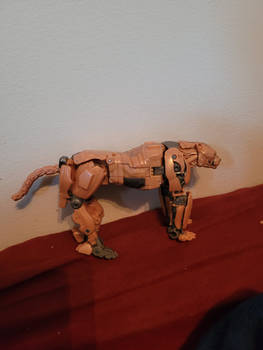 TRANSFORMERS Cheetor in Cheetah
