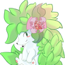 Shaymin for PVF