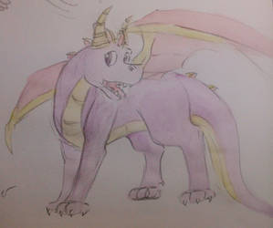 The purple dragon