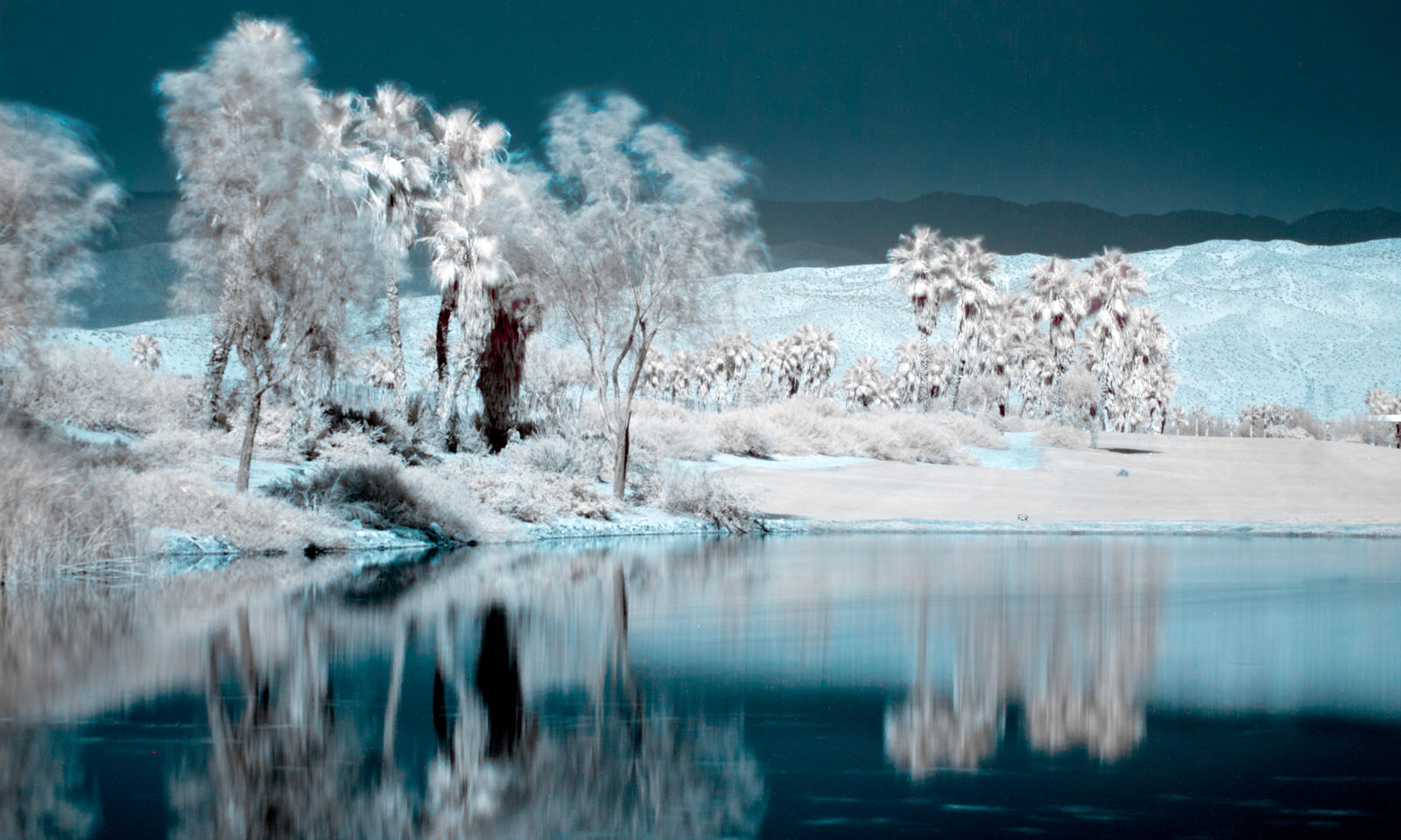 False Color Infrared