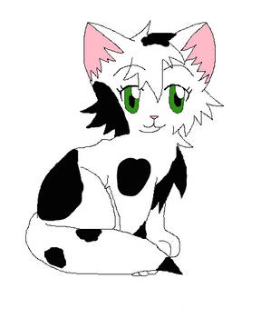 Custom Cat Cow!