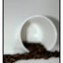 Coffee Beans + a Paper Cup 01