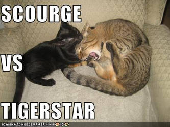 Tigerstar Vs Scourge