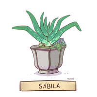 Sbila / aloe vera