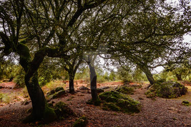 Sierra de Segura 1