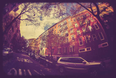 New York City: Autumn