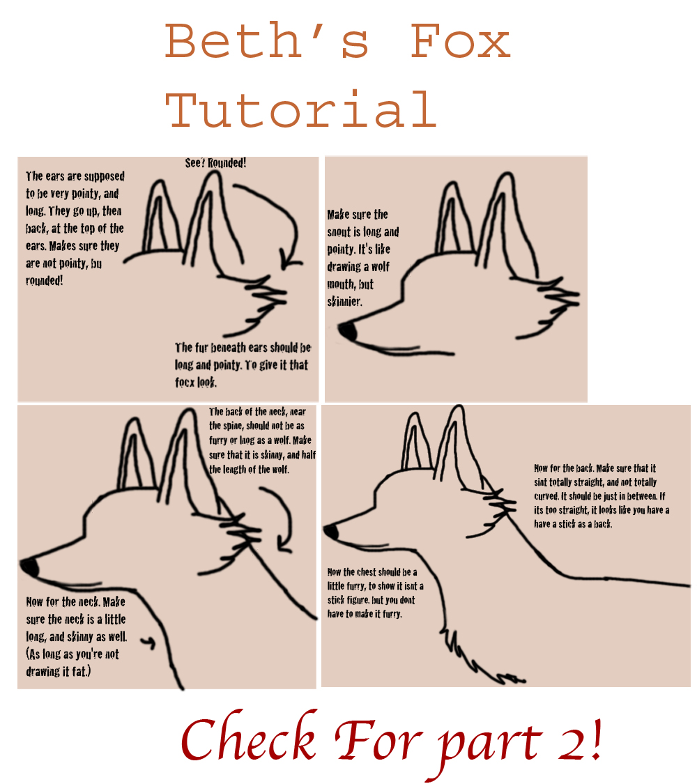 Fox Drawing Tutorial Part 1