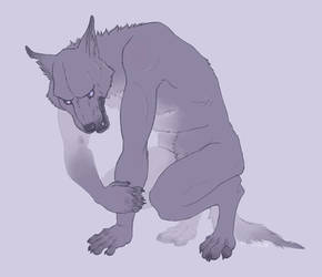 Lilac Werewolf