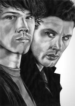 The Winchesters