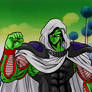 OD Piccolo JR