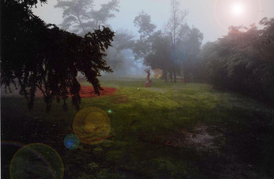 Misty Morning 2 by TeeSav on DeviantArt