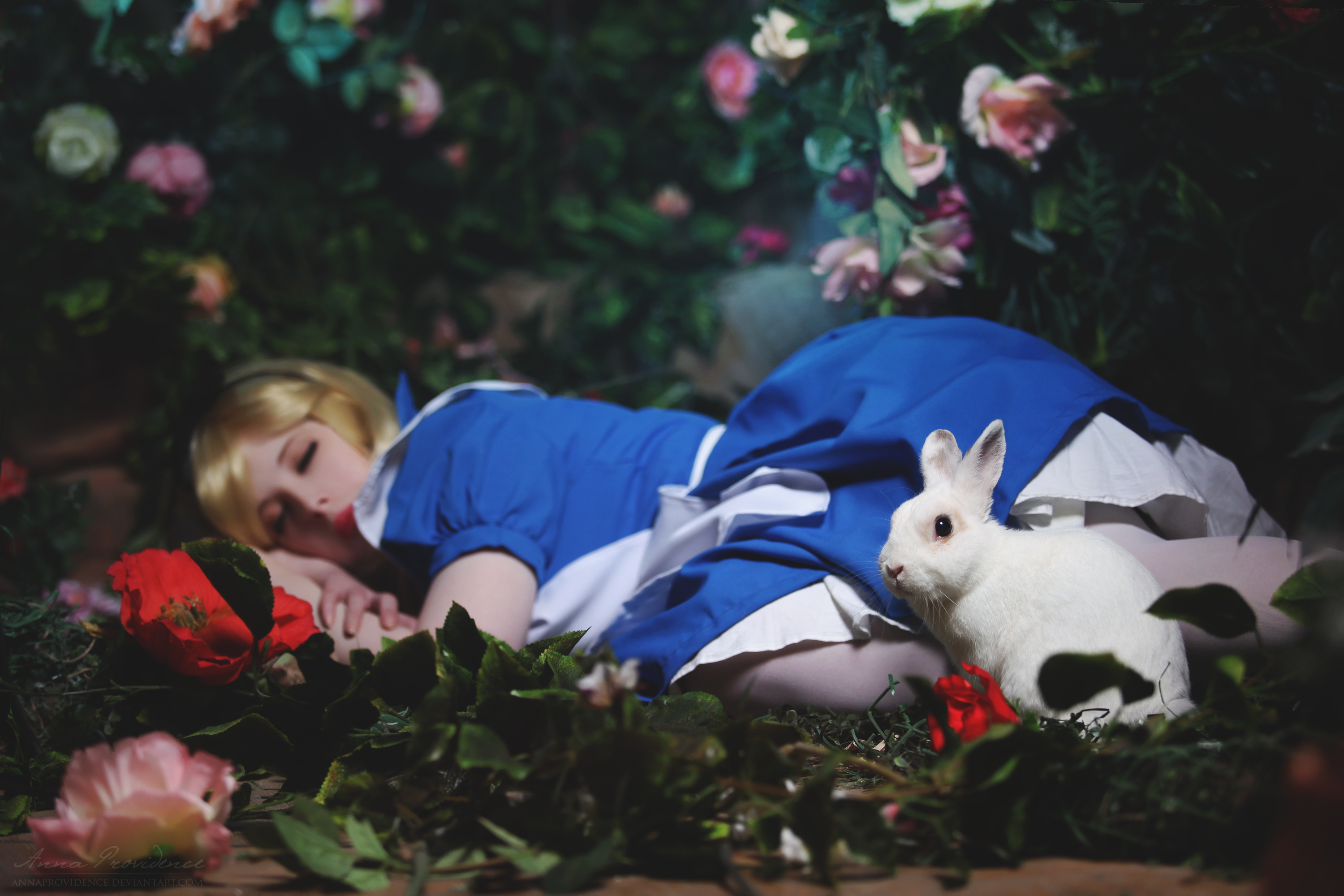 Alice in Wonderland