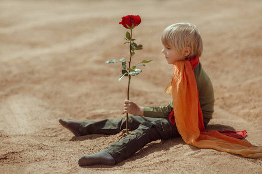 Le Petit Prince - cosplay