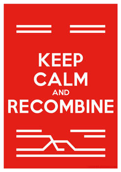 Keep Calm and Recombine