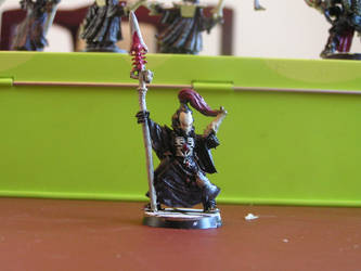 Eldar Warlock 2