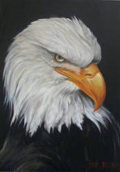 eagle