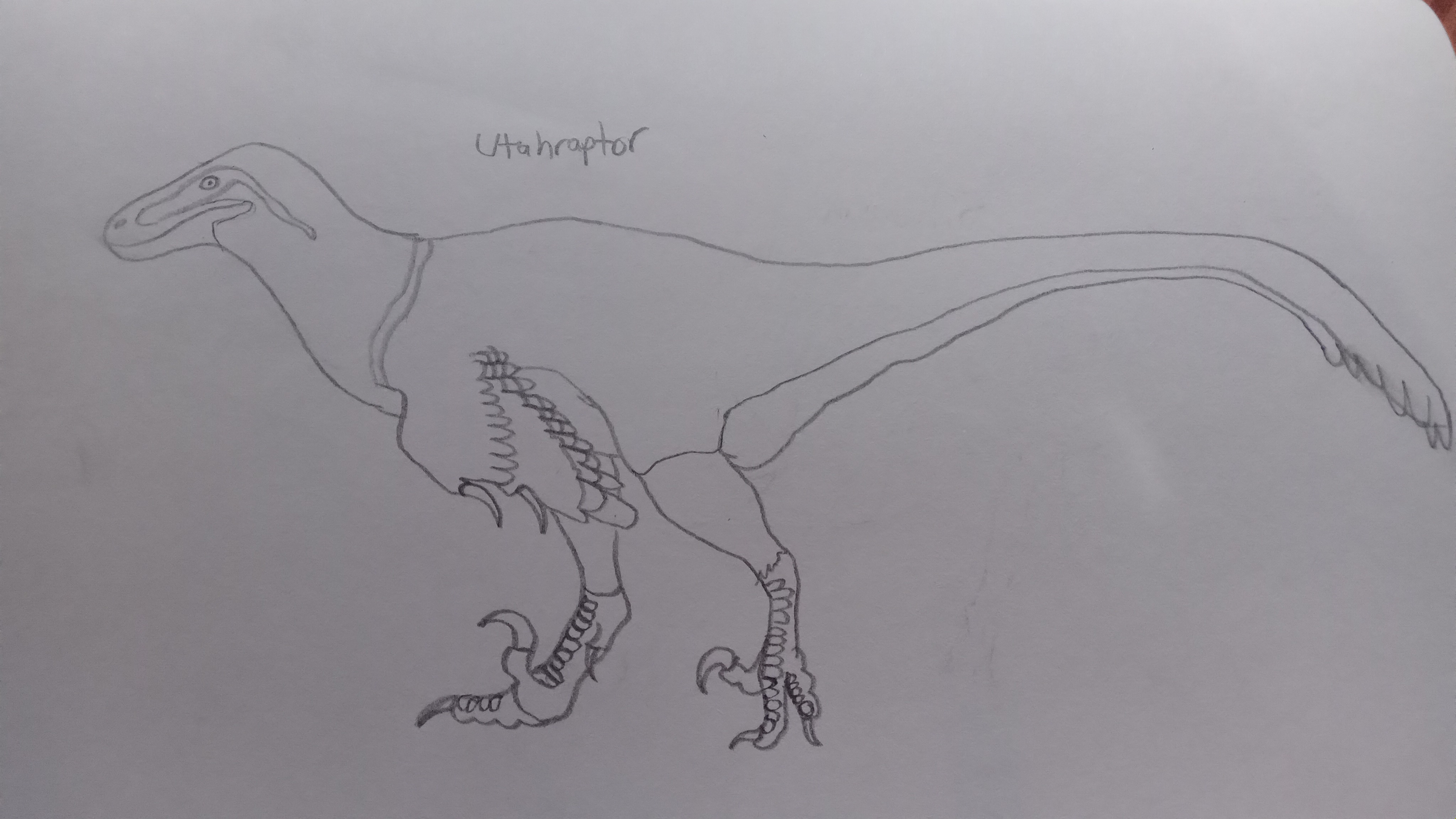 Utah Raptor Outlines Utahraptor by DinosRAwesome on DeviantArt