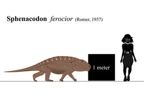 Sphenacodon ferocior reconstruction