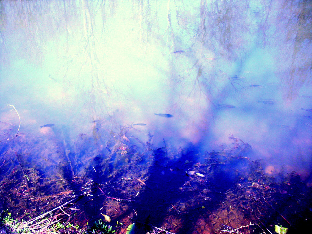 violet fish by apricot-cafe on DeviantArt