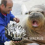Obey the walrus