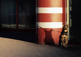 the art of waiting