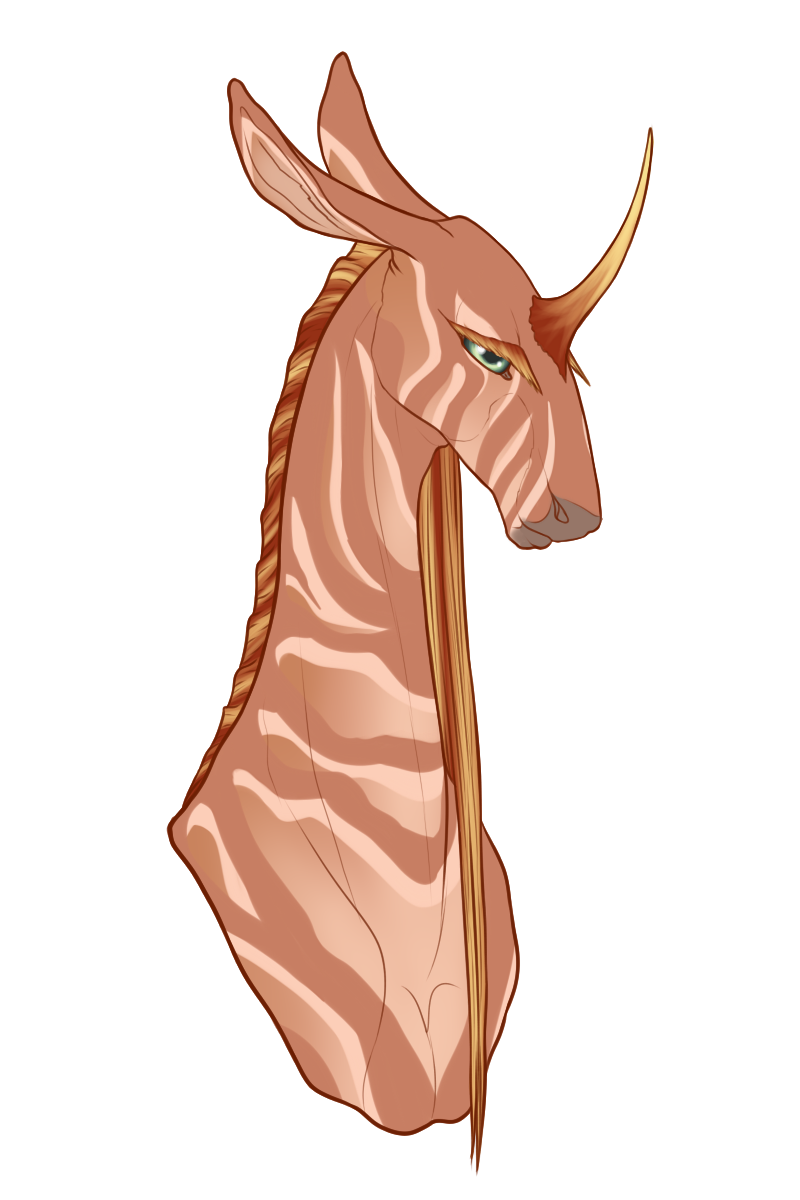 AS Phoenix Rising || Doe || Saddle