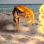 The fury in the Flame