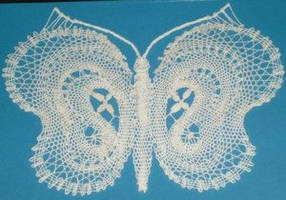 Butterfly Series - White