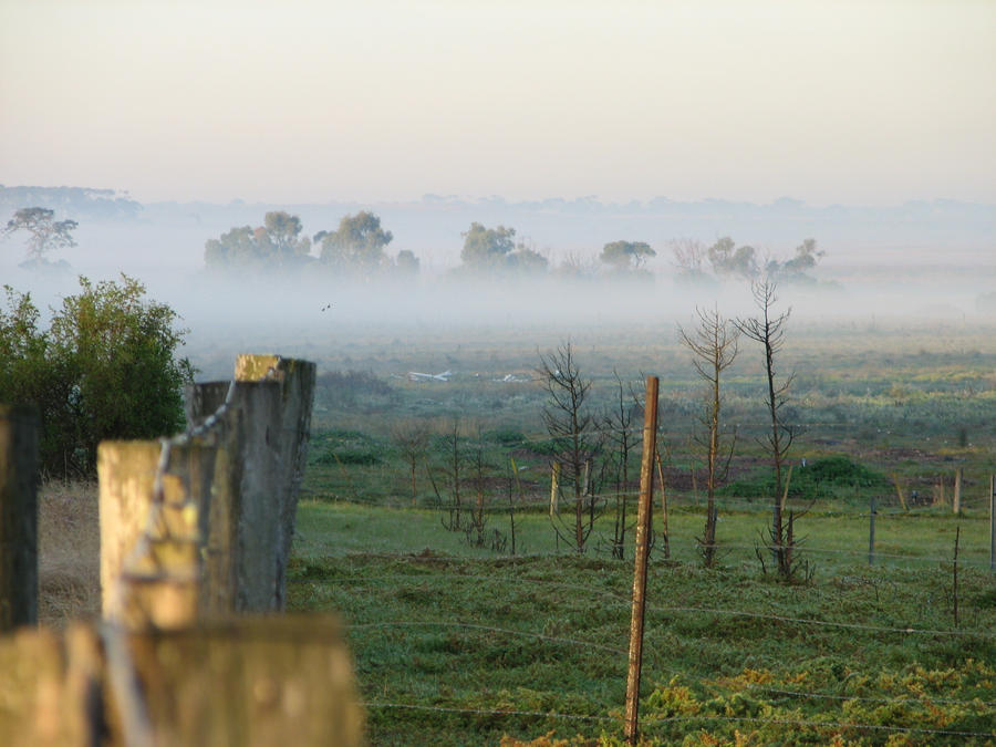 Misty Valley