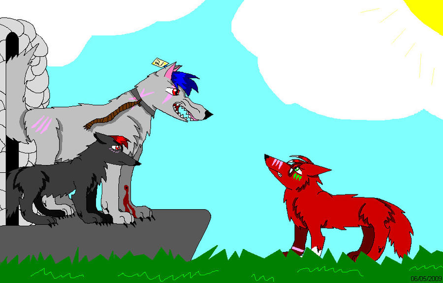 wildwolves RP by shadowfox10 on DeviantArt