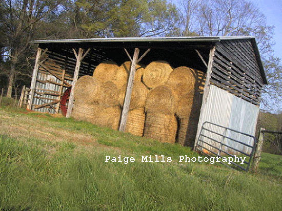 Haystack by PaigeMillsArt on DeviantArt