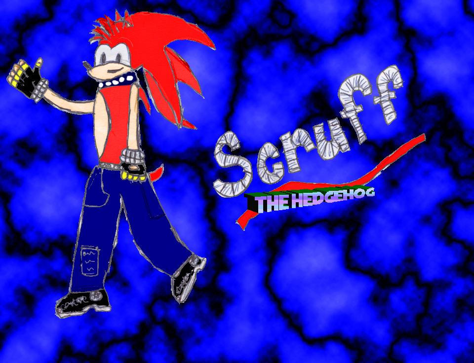 scruff the hedgehog by lyndi06 on DeviantArt