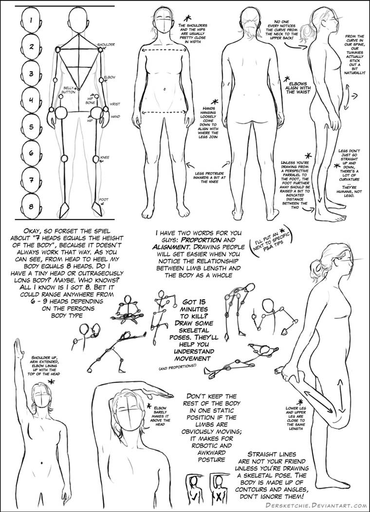 Basic Body Tutorial by DerSketchie on DeviantArt Basic Body Tutorial by DerSketchie on DeviantArt