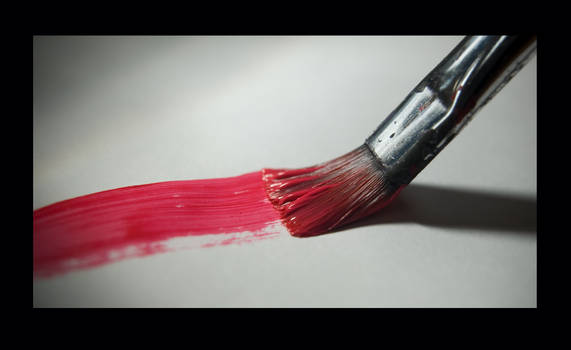 The Paint Brush