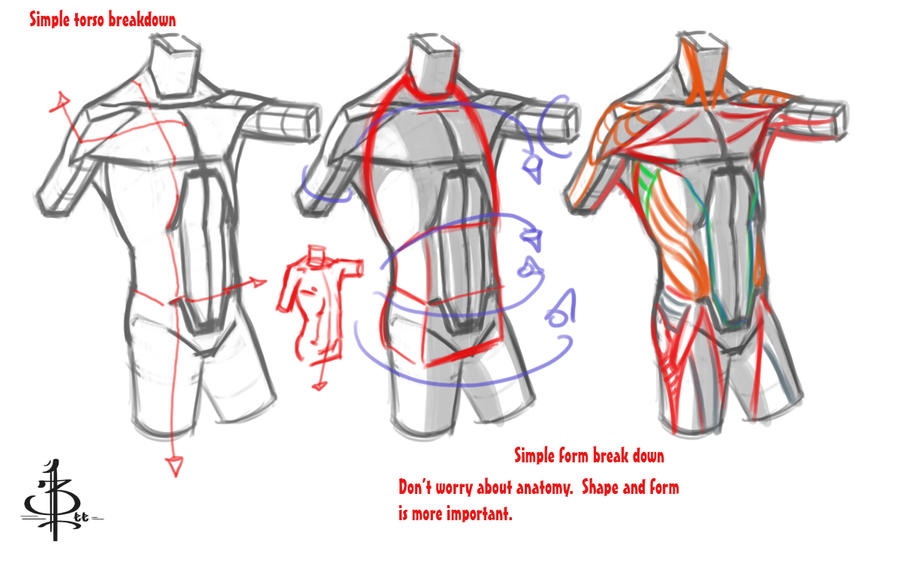 Funky Torso Torso Form demo by FUNKYMONKEY1945 on DeviantArt