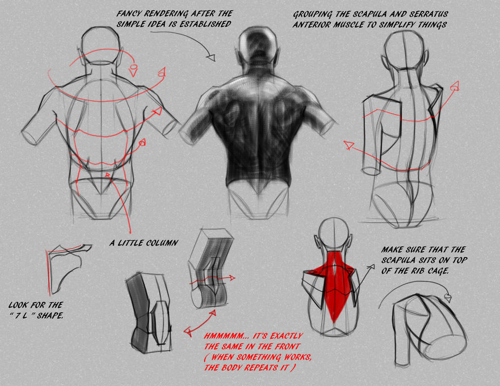 Back Notes 2 by FUNKYMONKEY1945 on DeviantArt
