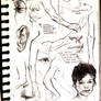 various studies 19