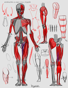 Anatomy demo from Figure drawing class