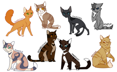 Even More Warrior Cats Design